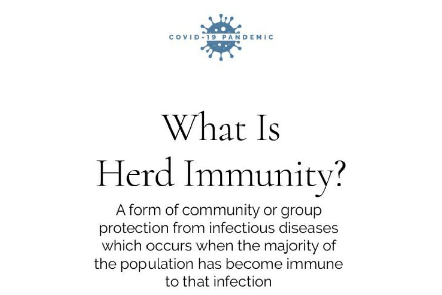What Is Herd Immunity? And How Does It Work? Explained! News18