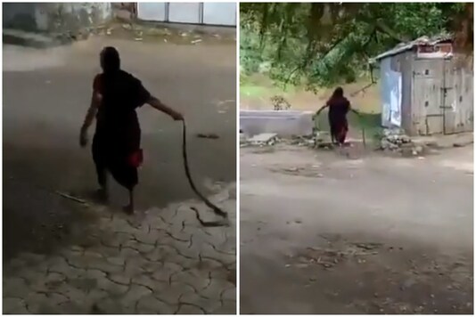 The video of old pulling a snake by its tail is going viral | Image credit: Twitter