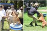 Karnataka Police to Adopt and Induct 50 Dogs at Rs 2.5 Crore Cost to Strengthen Squad