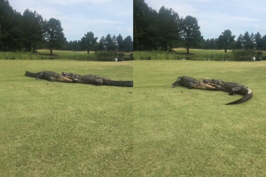 The Golf Club at Hilton Head Lakes / Facebook. 
