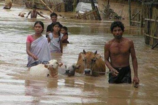 Photo: PTI