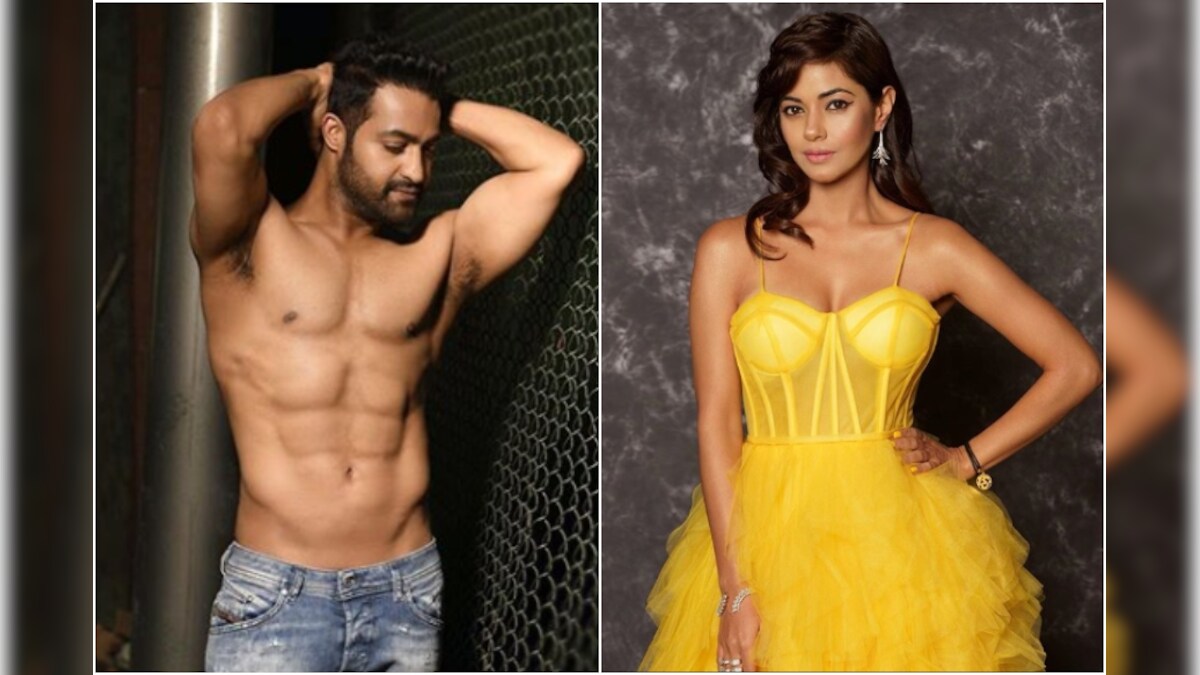 1200px x 675px - Hyderabad Police Book Jr NTR Fans For Threatening Actress Meera Chopra With  Gang Rape - News18