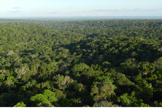 File photo of Amazon forests. Credits: University of Leeds.
