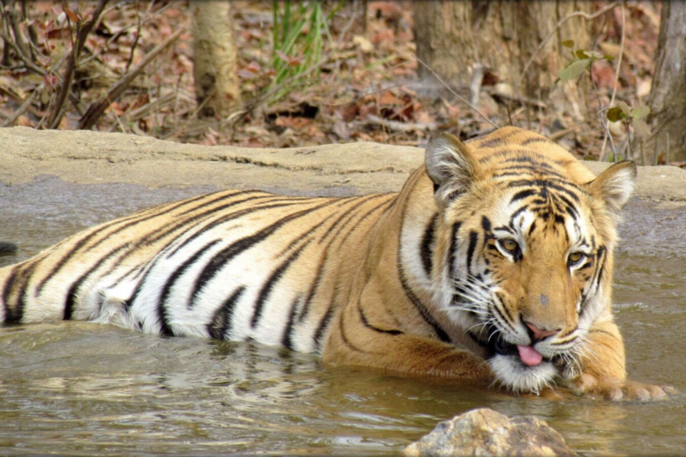 /ibnlive/uploads/2020/06/15916689...