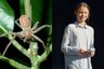 Newly Discovered Spider Species Named After Climate Change Activist Greta Thunberg