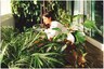 Anushka Sharma Spends Saturday Morning with Green Buddies in Her Balcony