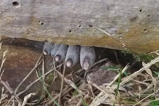 This Image of 'Dead Man's Feet' Has Spooked the Internet. Can You ...