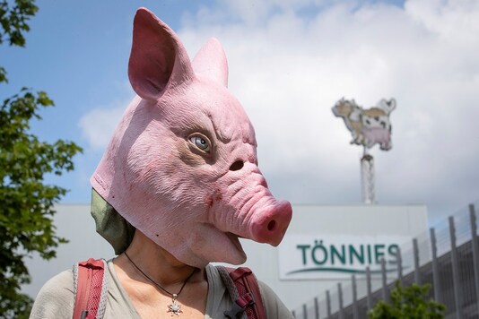 Animal rights activists protest in front of the Toennies meatpacking plant and slaughterhouse in Rheda-Wiedenbrueck, Germany on Saturday. (Friso Gentsch/dpa via AP)