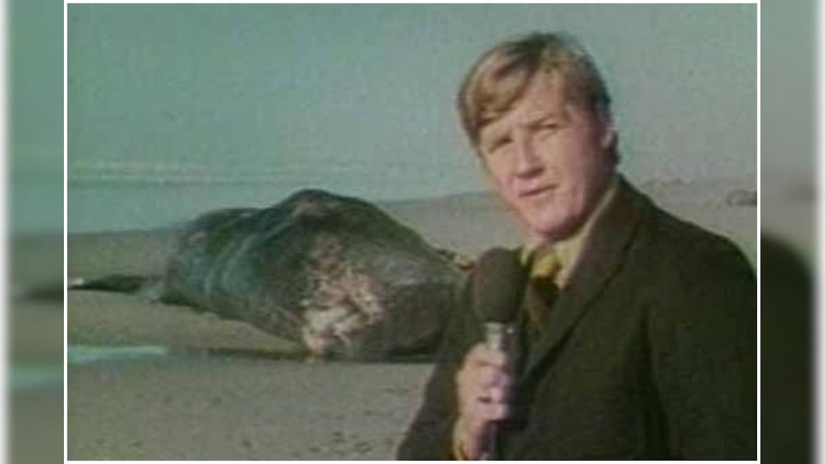 Exploding Whale Memorial Park to Honour Blubber That Was Blown to Bits