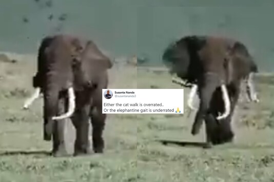 Screenshot from video tweeted by 
Susanta Nanda
@susantananda3.