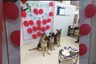 Mumbai Police Celebrating the First Birthday of Its Dog Cops is the Pawsome Content We Need