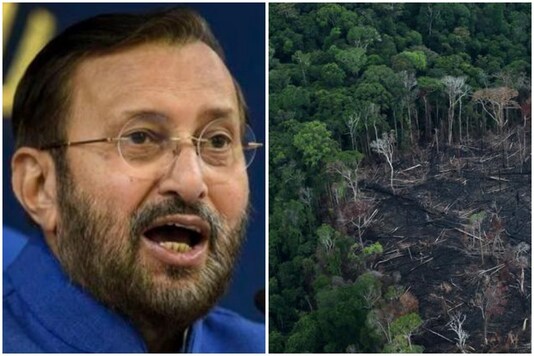 The EIA Notification 2020 seeks to supersede and completely replace the EIA Notifications 2006 and may make it easier for industrialists to get environmental clearances | Imga credit: PTI/Reuters