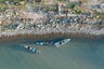 Italian Musicians are Performing in Fishing Boats to 'Shore-ly' Maintain Social Distance