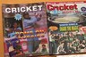 Cricket Samrat: For Cricket Fans in The Pre-internet Era, it Was as Good as it Got