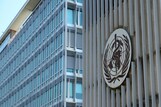 Covid-19 Threatens to Exacerbate Conflict, Humanitarian Crises, Says WHO Chief
