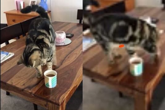 Video grab.
(Image credit: Reddit) Video grab.
(Image credit: Reddit)
