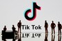 TikTok to Meet Govt Panel to Present 'Clarification' After Ban, Says Will Comply With Privacy Needs