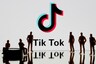 TikTok to Meet Govt Panel to Present 'Clarification' After Ban, Says Will Comply With Privacy Needs