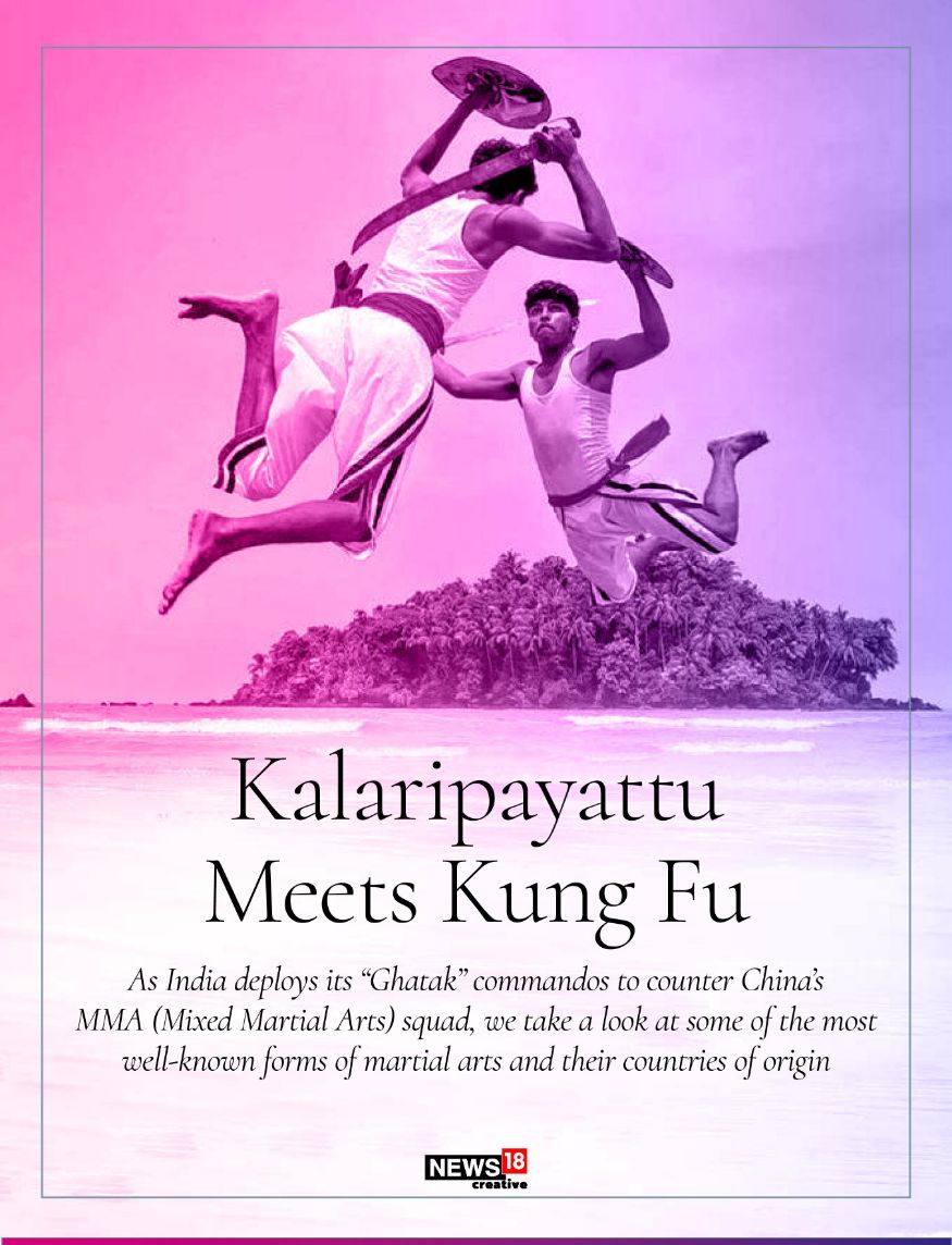 WellKnown Forms of Martial Arts & Their Countries of Origin News18