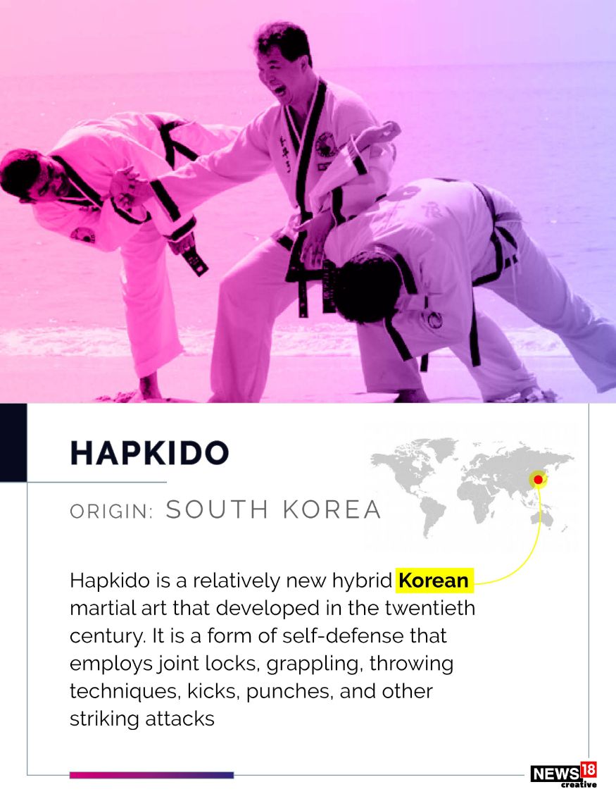 WellKnown Forms of Martial Arts & Their Countries of Origin News18