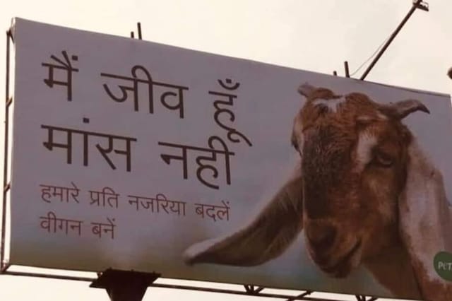 Photo of the hoarding. (News18)