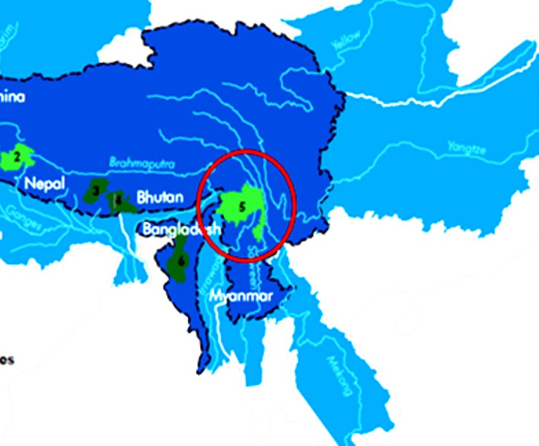 The Lanscape Where Hi-Life Is Being Implemented (Credit - special arrangement)