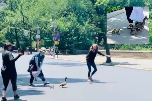 Screenshot from video uploaded by @whatisnewyork / Instagram. Screenshot from video uploaded by @whatisnewyork / Instagram.