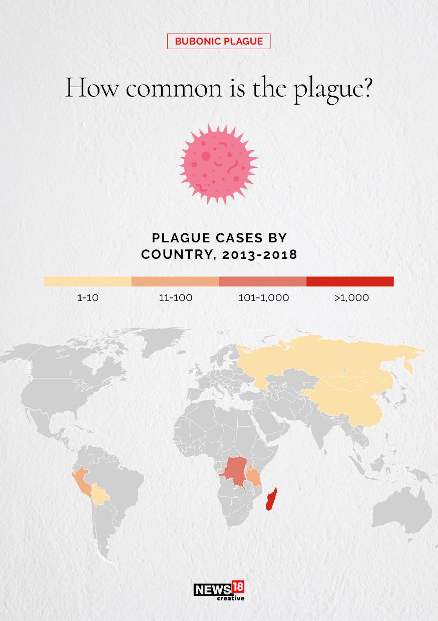 Bubonic Plague All You Need to Know About the Deadly Disease