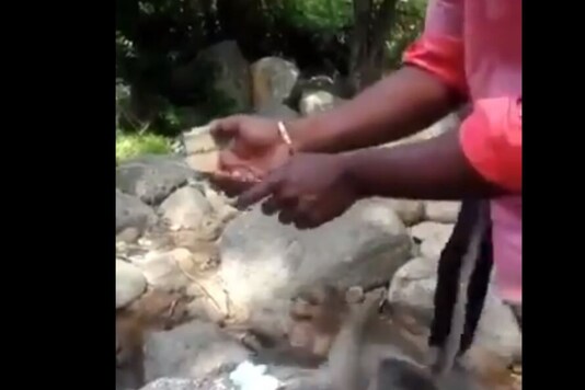 Screenshot of the video.