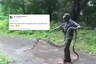 Viral Photos of 15-Feet-Long King Cobra Rescued in Tamil Nadu Leaves Twitterati Stunned
