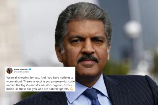 File image of Anand Mahindra / PTI. File image of Anand Mahindra / PTI.