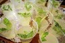 The Tippling Point | The Story of Bacardi Mojito, the Drink That's Had Myriad Births