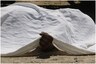 Kerala Photographer Was Clicking Photos of a 'Corpse', Ended up Saving Man's Life