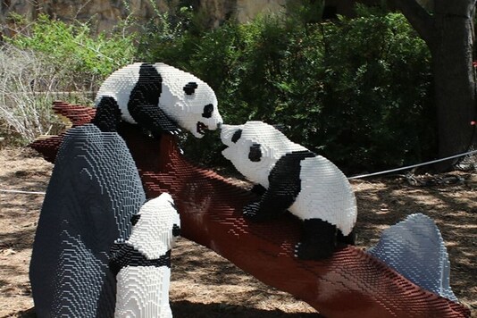 Life-size LEGO Pandas Find a New Home in US Zoo, Took Over 400 Hours to Build