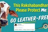 PETA Says Protect Cows This Raksha Bandhan, Twitter Says Rakhis are Not Made of Leather