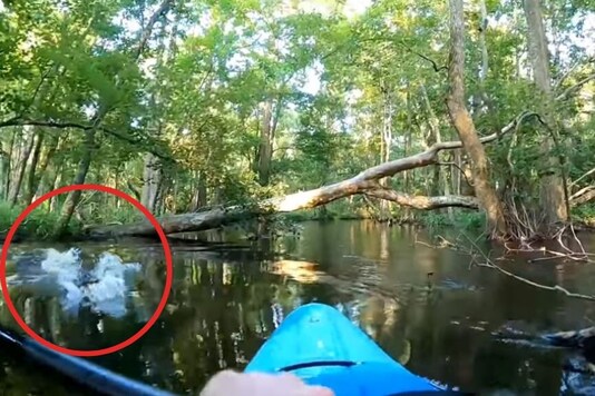 Video grab.
(Image credit: YouTube)