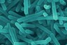 Metal-eating Bacteria Discovered By Scientists, Feeds on Manganese to Get its Fuel