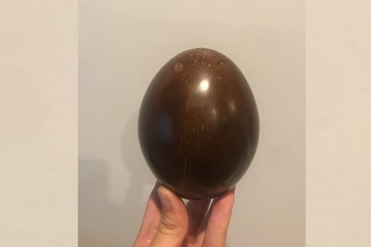 Photo of a Smooth, 'Polished Coconut' Has Redditors Scratching ...