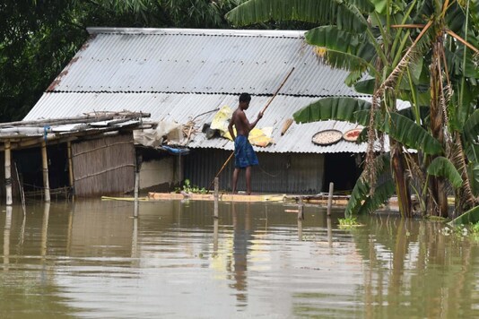 In houses submerged in Morigaon district, humans and cattle take shelter together. (Photo: Biju Boro) 
