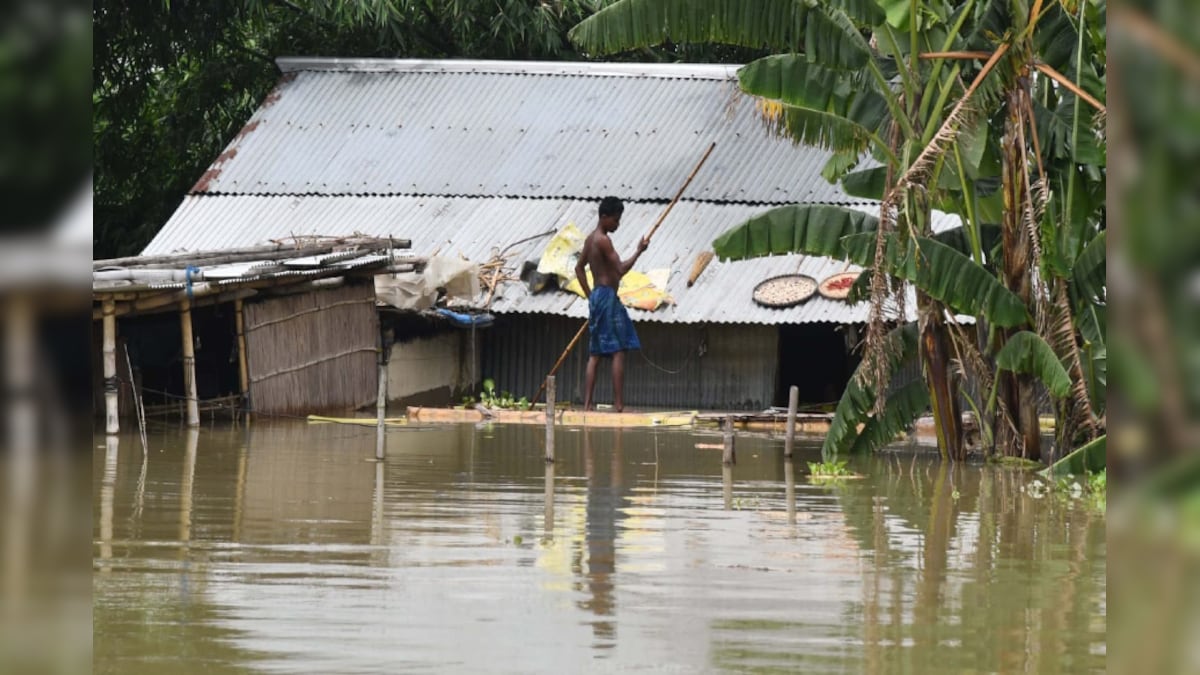 'We're All Together, Again': People and Animals under One Roof as Floods Ravage Assam, Over 70 Dead