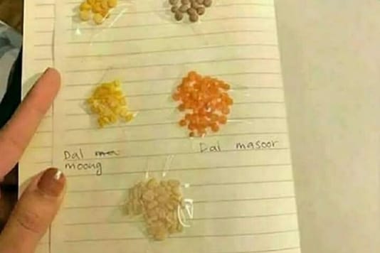 Daal Tutorial by a desi mom for his soon to be married son Daal Tutorial by a desi mom for his soon to be married son