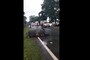 Tired Rhino Falls Asleep on Road Near Assam's Flood-ravaged Kaziranaga Park