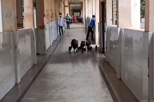 A video grab of the incident. (Credit: Twitter)