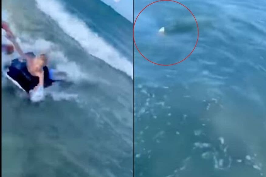 Watch Cop Jumps into Water to Save Kid from Shark Attack in Viral Video