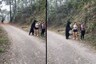 Watch: Hair-Raising Video of Bear Sniffing Hiker who Poses for a Selfie with the Animal