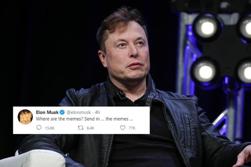 Elon Musk, Who Shipped Men to Space, is Busy Asking Everyone for Memes on Twitter