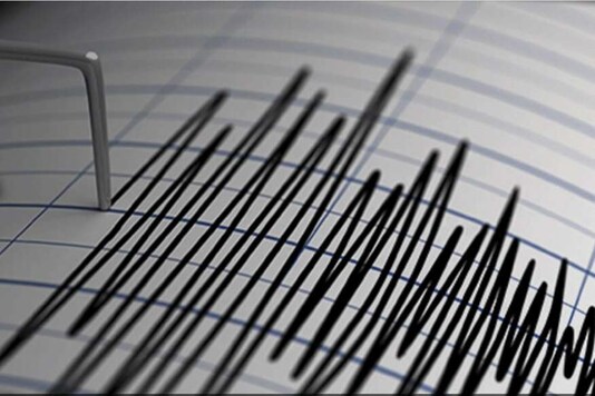 As many as 153 earthquakes were between 3.0 and 3.9 magnitude. (Image used for representation)