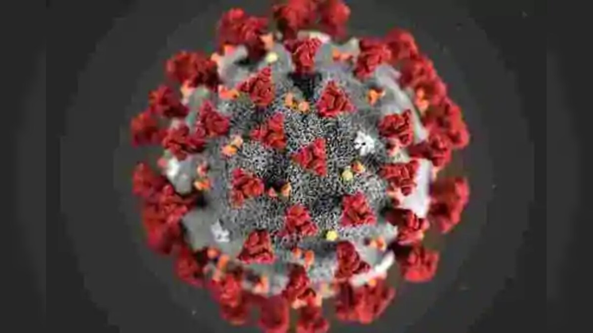 How Coronavirus Molecules 'Camouflage' in Host Cell Decoded, May Lead to Drug Development: Scientists