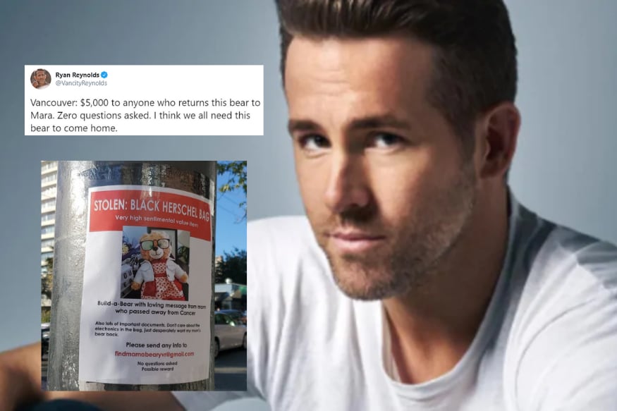Ryan Reynolds Will Pay $5000 to Anyone Who Returns Woman's Teddy ...