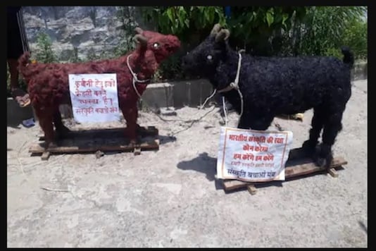 The clay goats prepared by Sanskriti Bachao Manch. The clay goats prepared by Sanskriti Bachao Manch.
